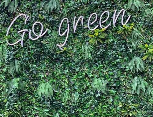Why We Need to Go Green